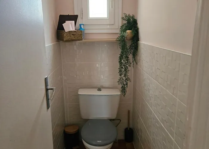Aponinevi Apartment Béziers